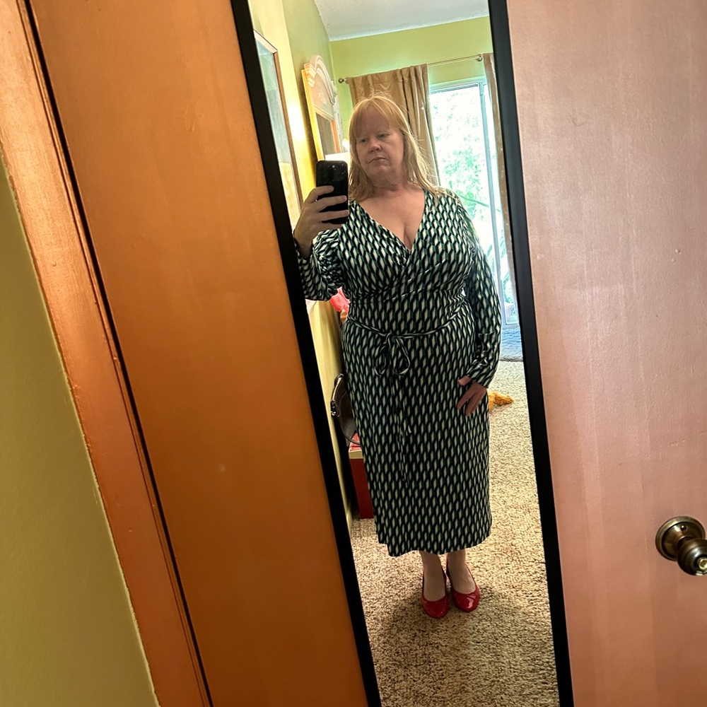 Diane Von Furstenberg for Target DVF x Target wrap dress 3X green - Picture 11 of 11